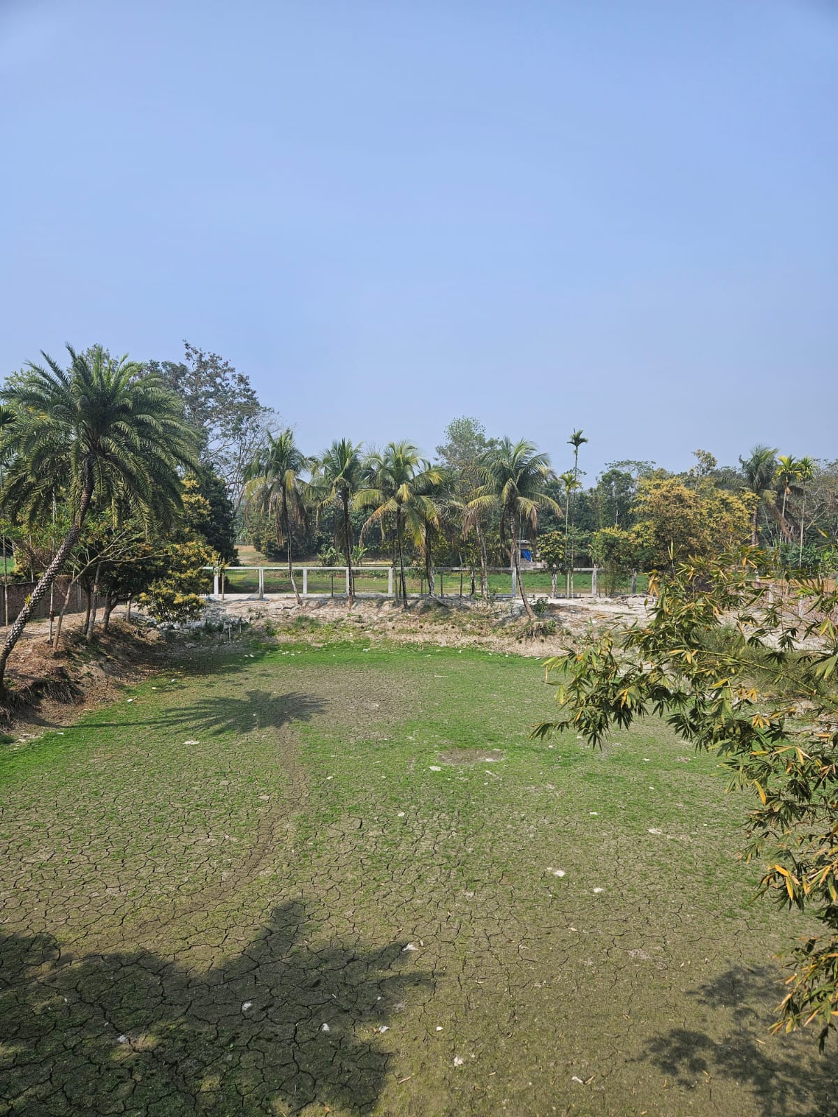ASTANA Resort grounds with palm trees and open green lawns under a clear blue sky